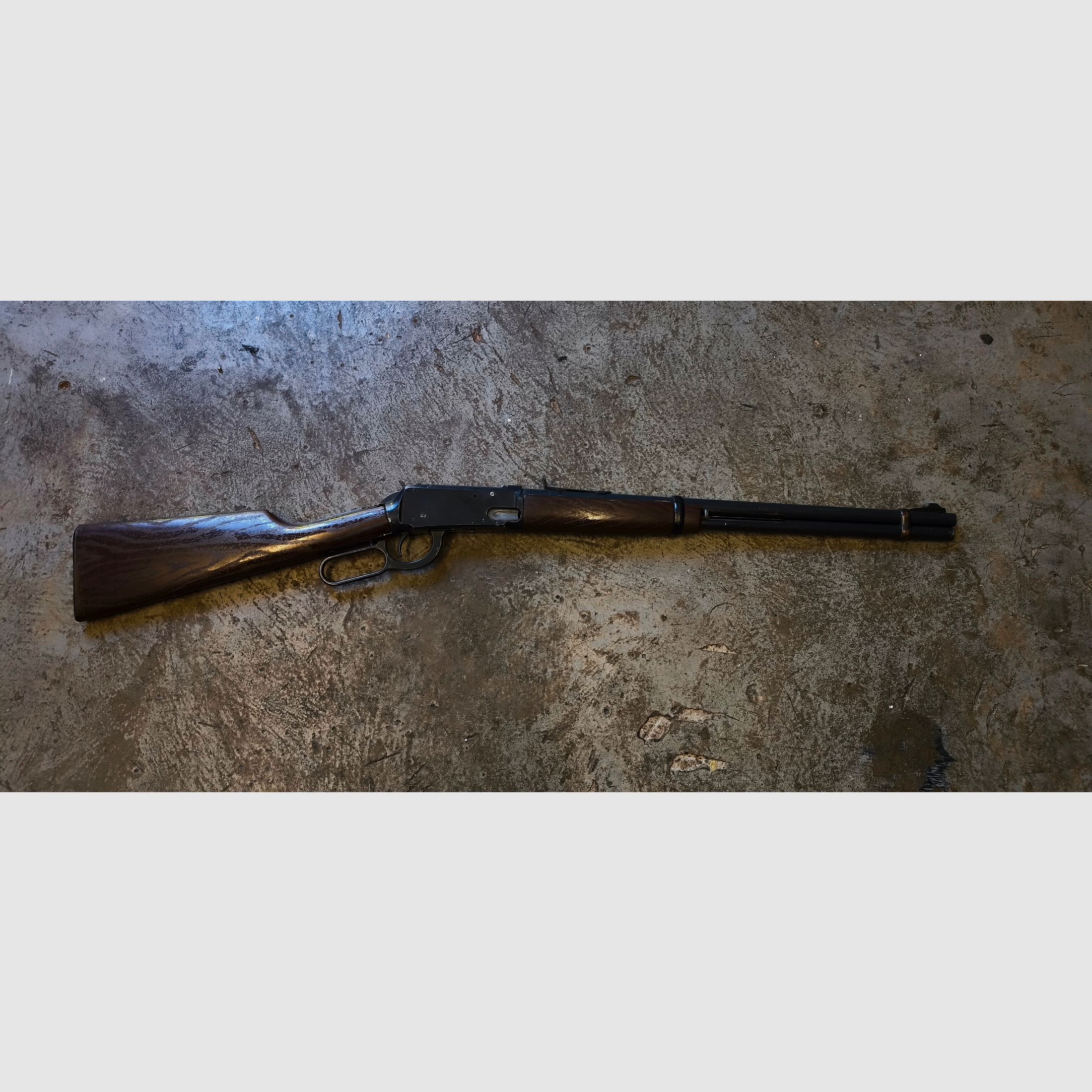 Daisy Model 1894