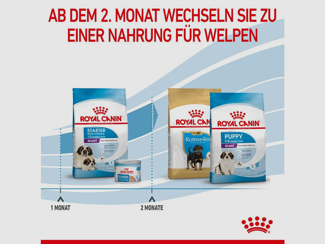 ROYAL CANIN Sehr Große Hunde Trockenfutter Starter Giant tragende Hündin und Welpen 15 Kg