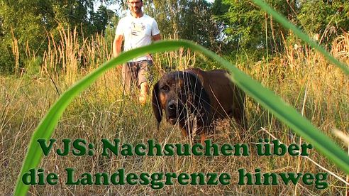 VJS Nachsuchen über die Landesgrenze