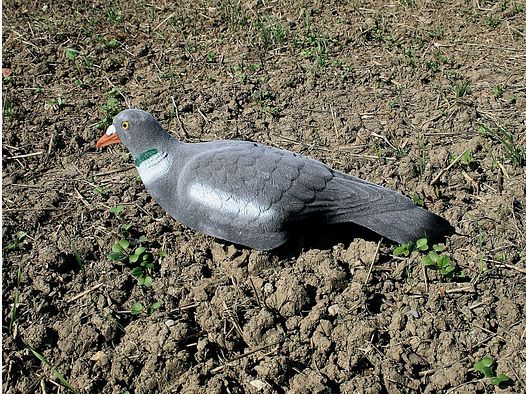 Locktube semisfera su asta