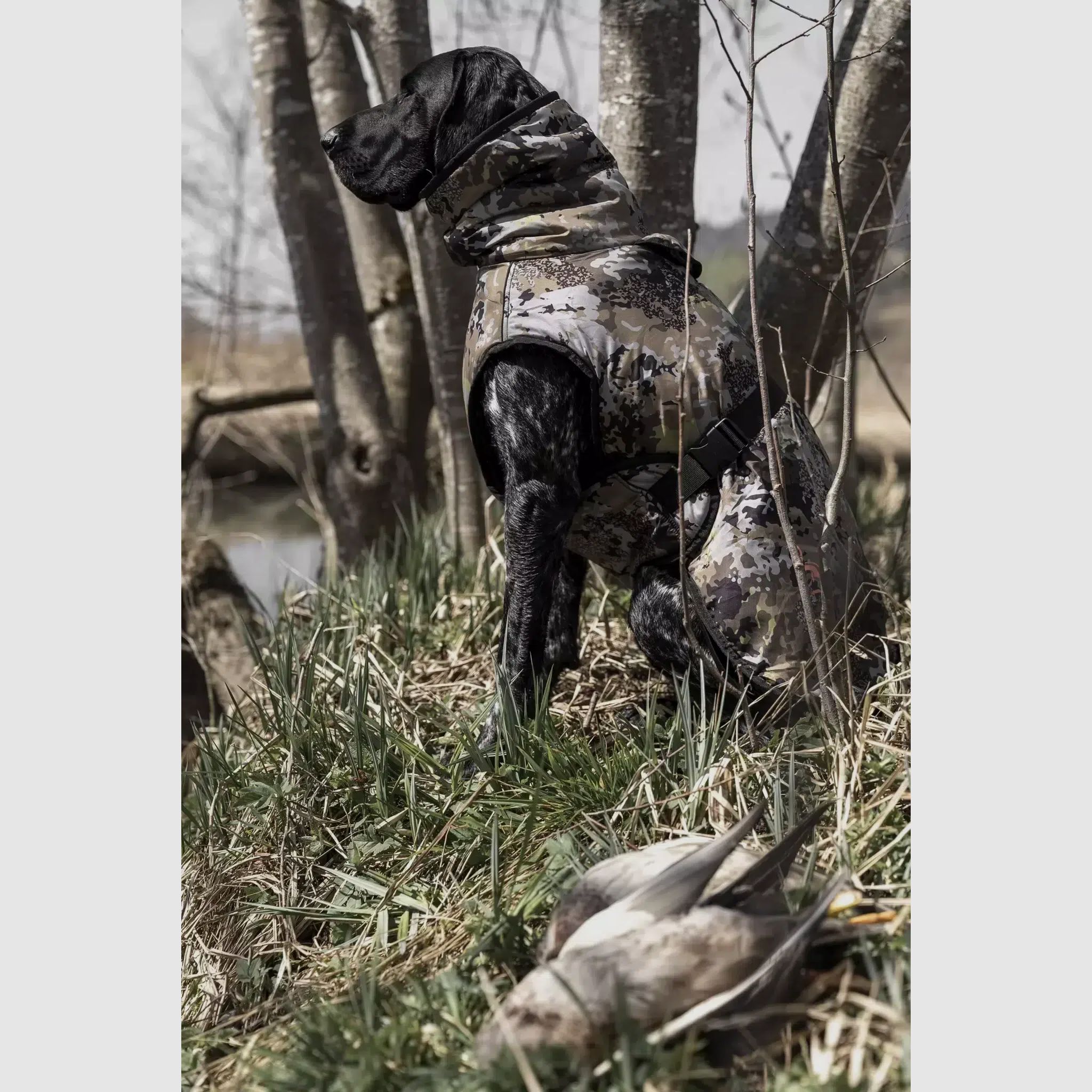 Blaser Chien Poncho HunTec Camo