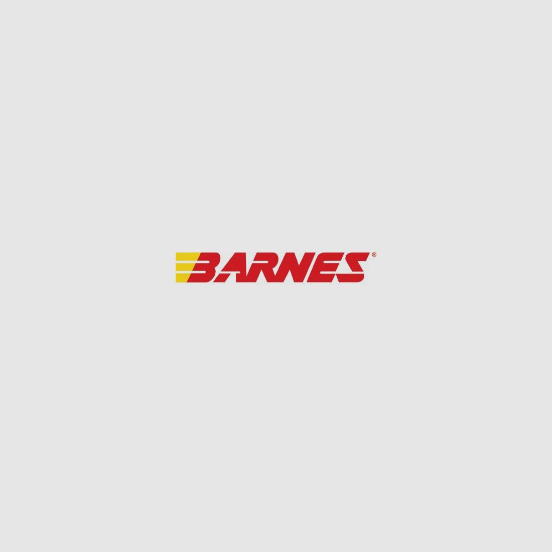 Barnes Vor-TX International TTSX BT 300grs - 20 pcs