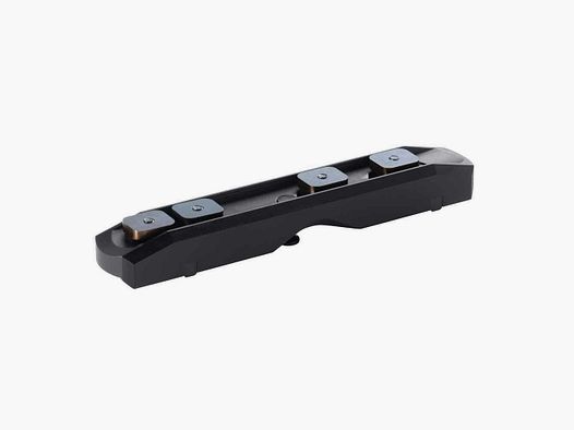 Dentler mounting rail base