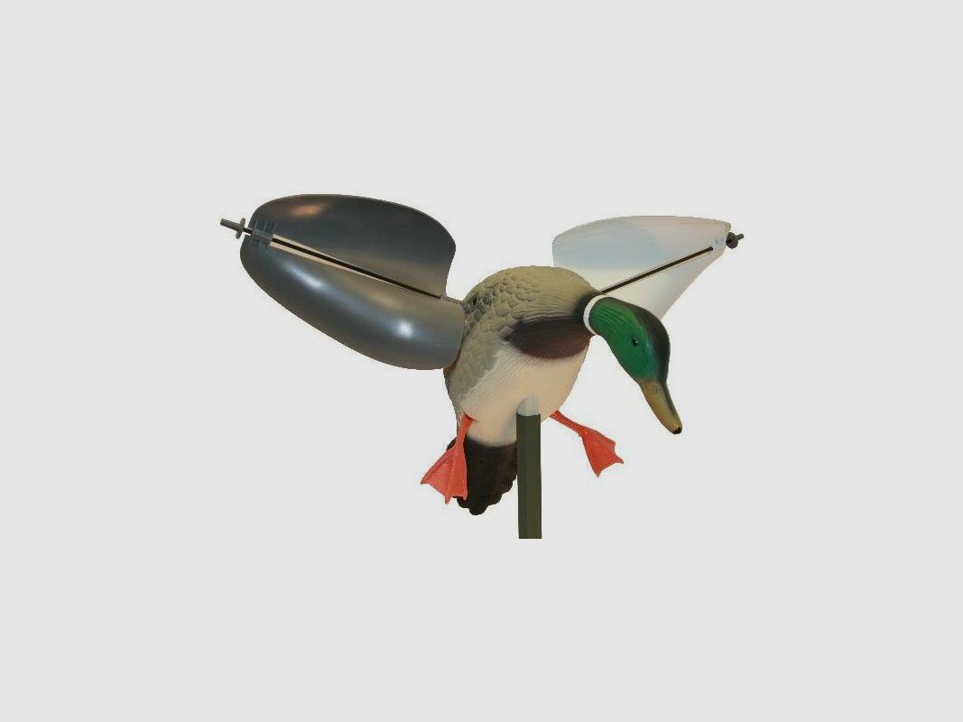 Mojo Wind mannelijke Gans