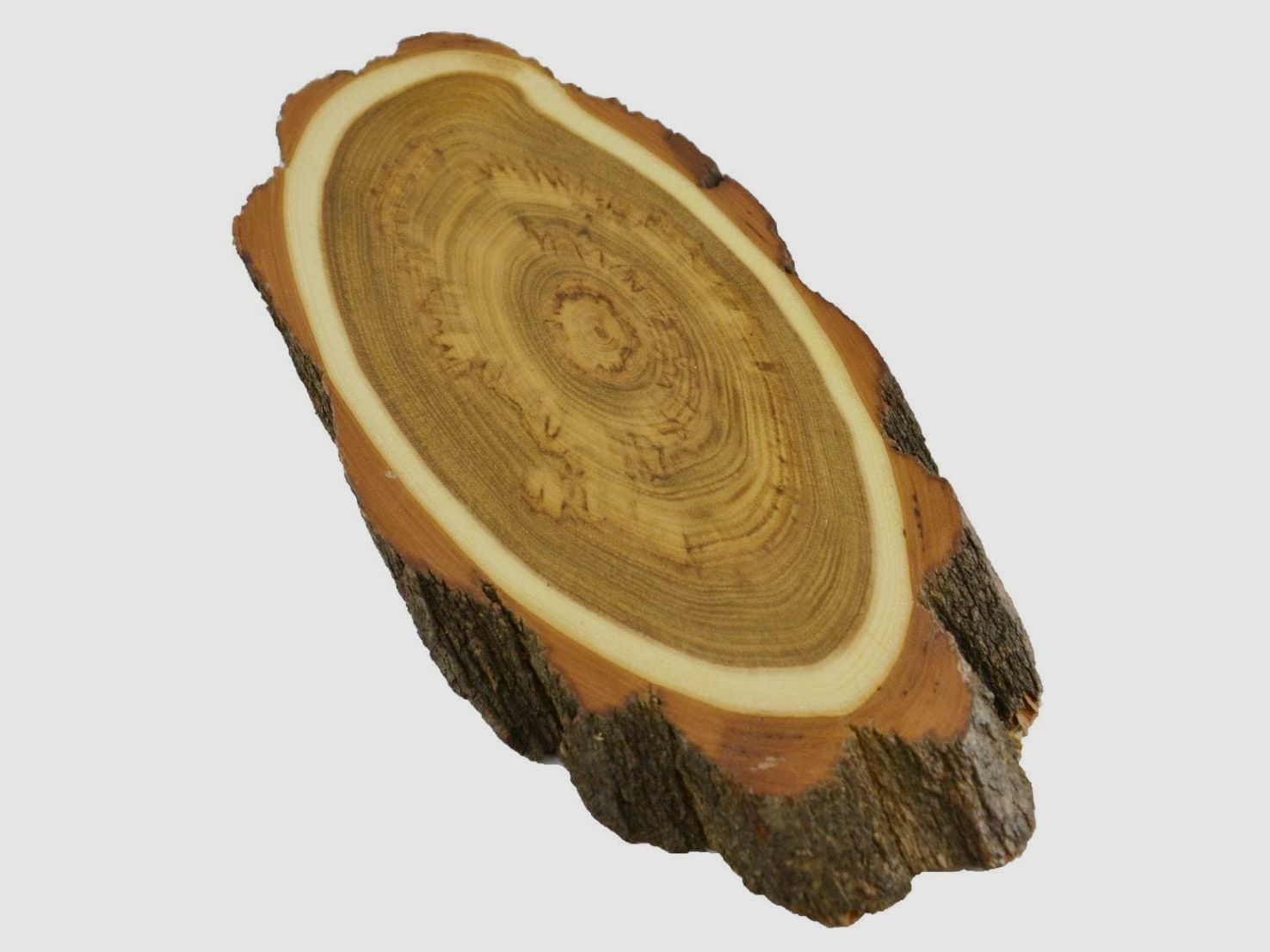 Targa trofeo in acacia per cervo (SENZA scomparto in pino)