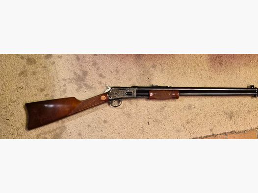 Beretta Gold Rush