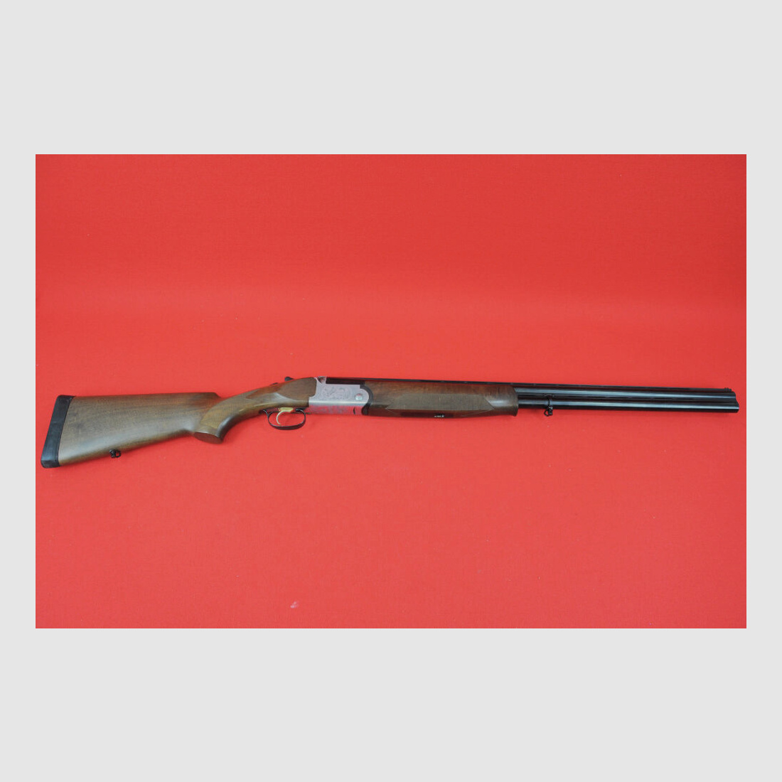 Rizzini Albion