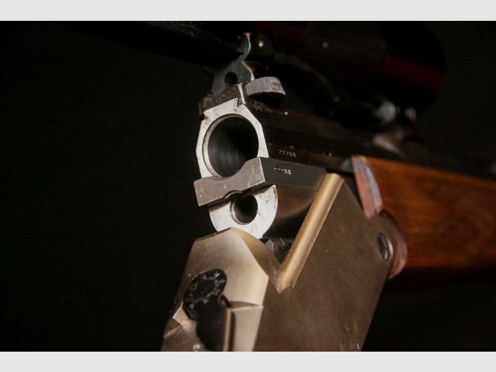 Blaser BBF Bockbüchsflinte