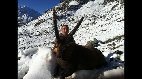 Ibex hunting - Switzerland