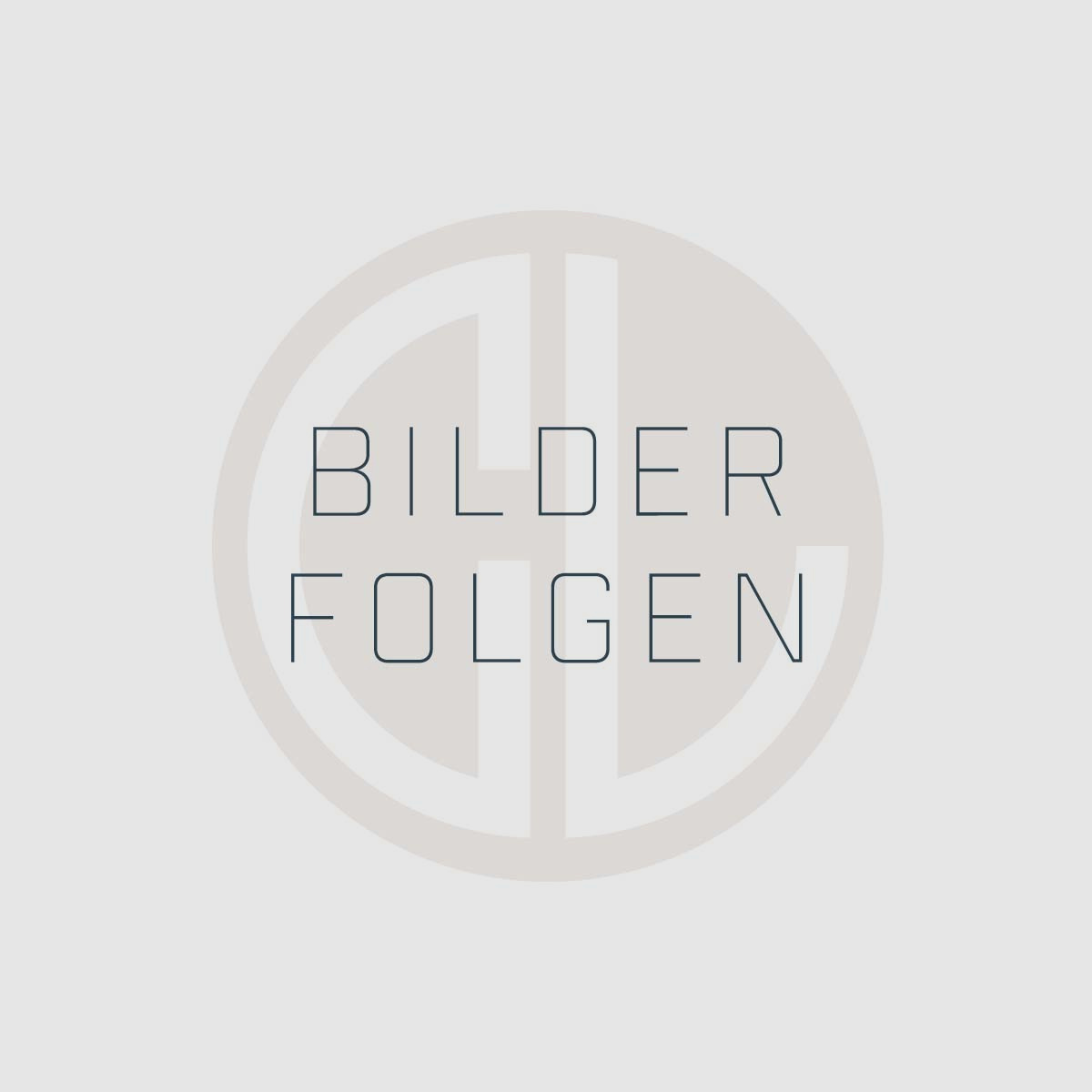 RE.BULLET – RANGER - GOLD Tip