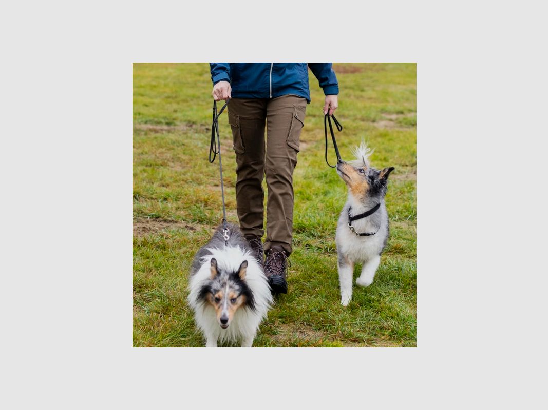 Pinewood Serengeti Damen Hose hellolive