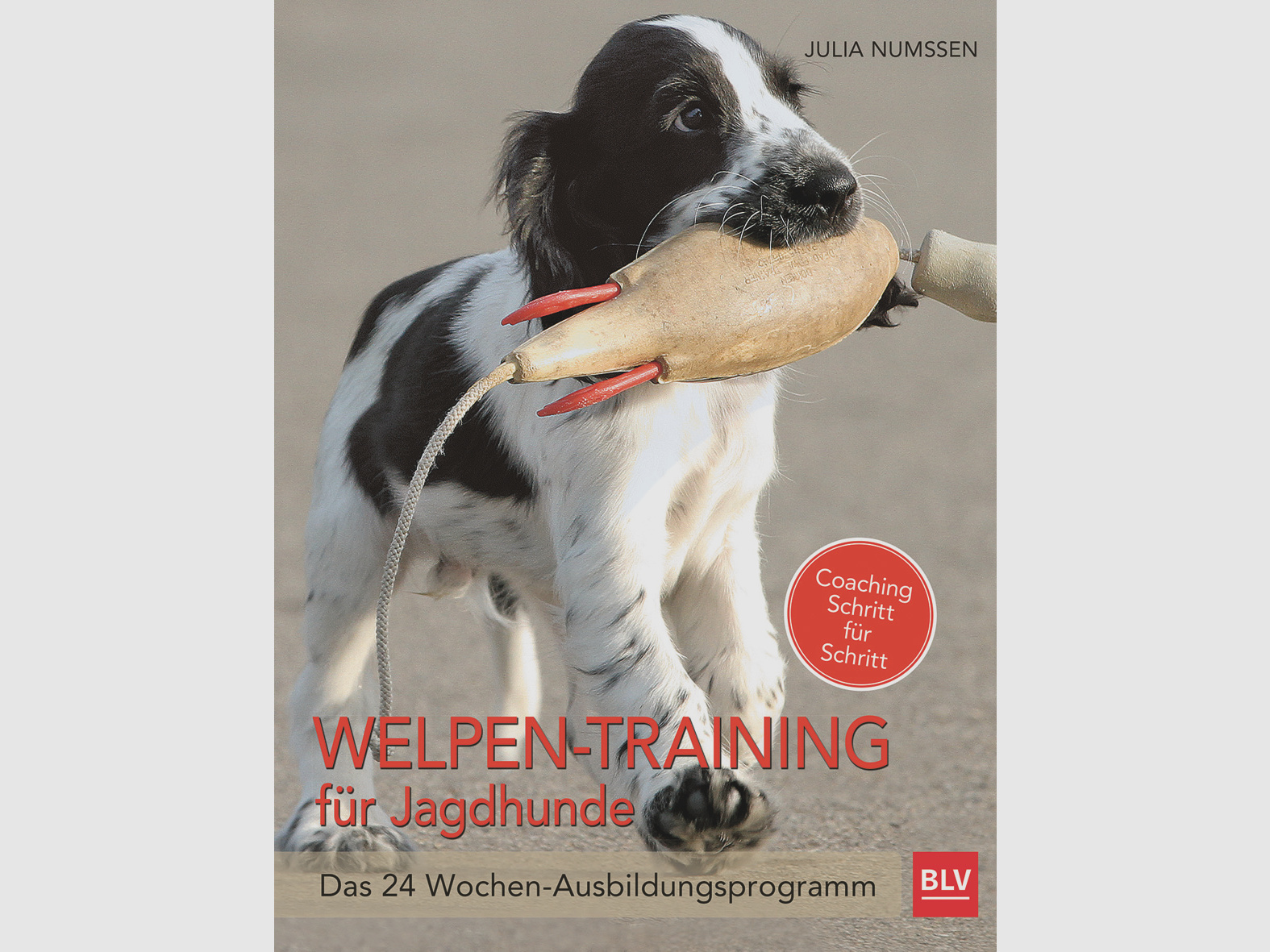 Welpen-Training für Jagdhunde