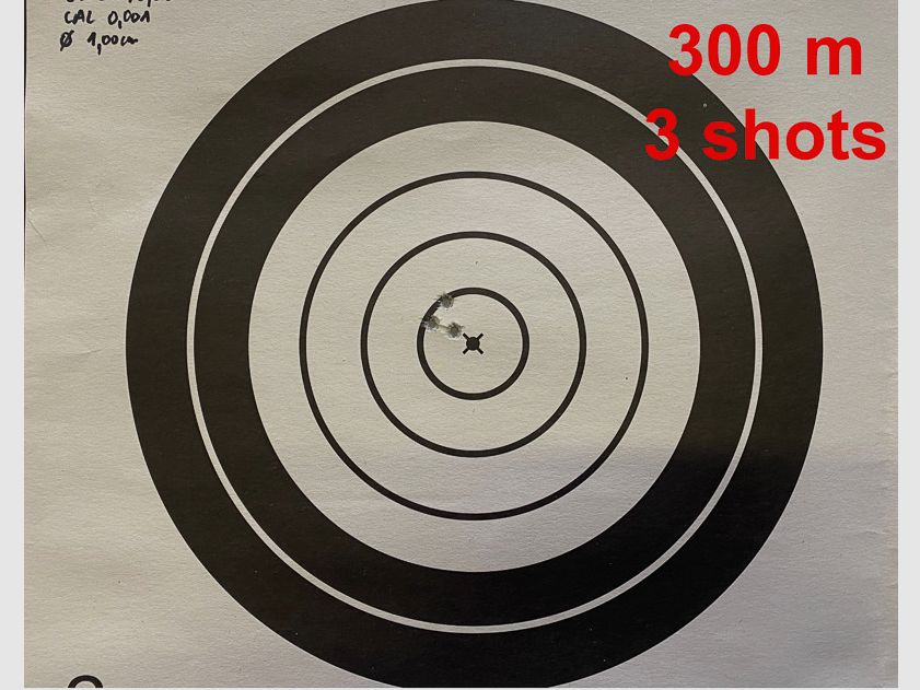 SAUER S 202 Synchro XT - Kaliber 6mm XC