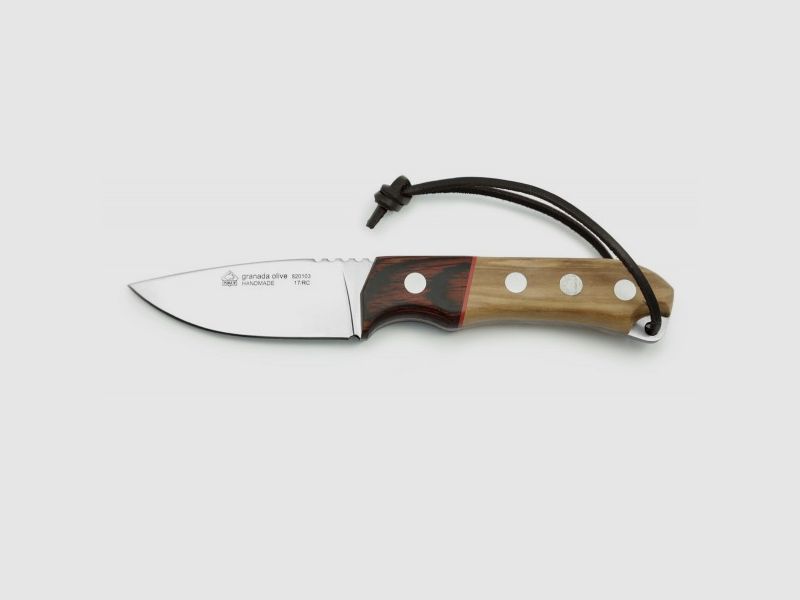 PUMA IP granada olive