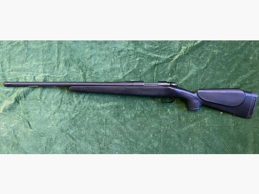 Bergara B 14