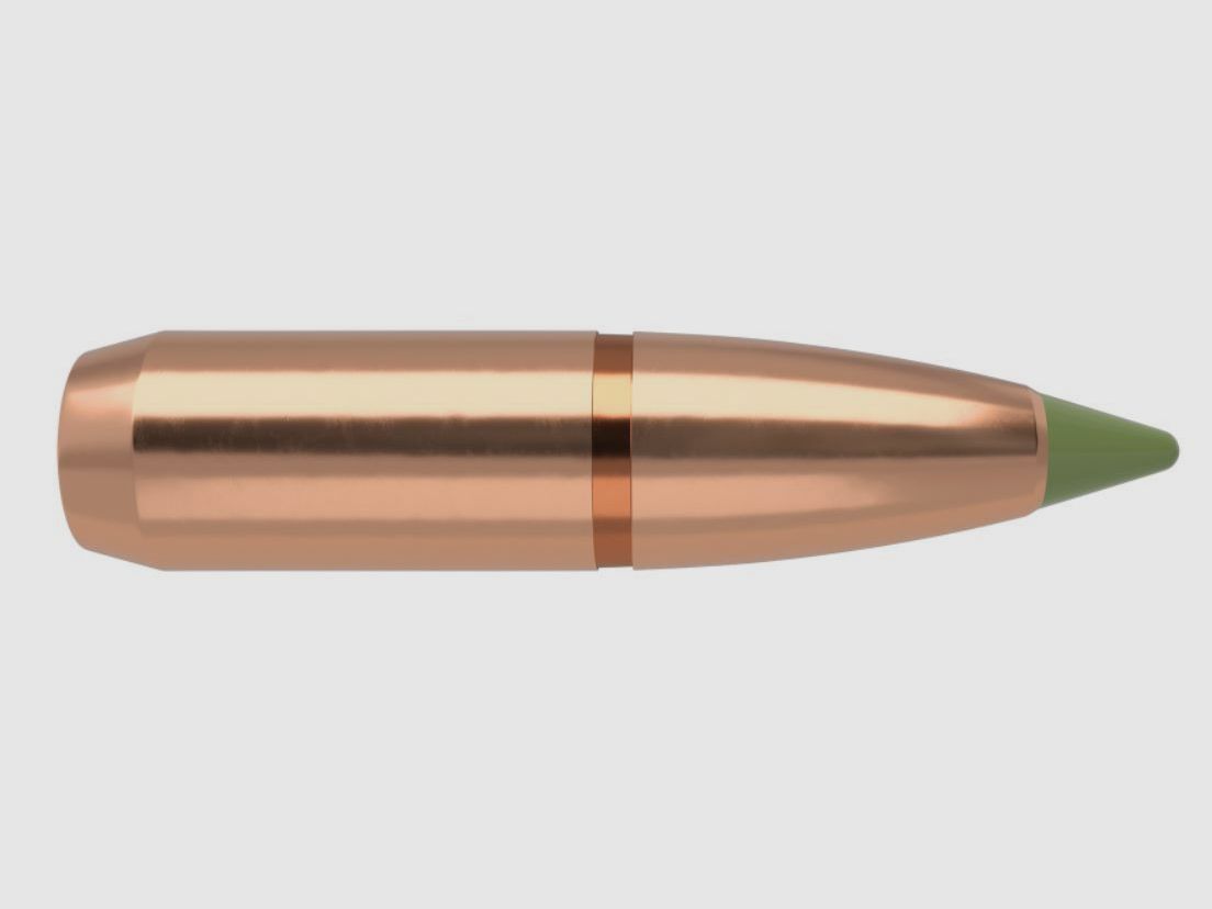 Nosler Hunting Cal. .30 Expansion Tip in 168 Grain #59415