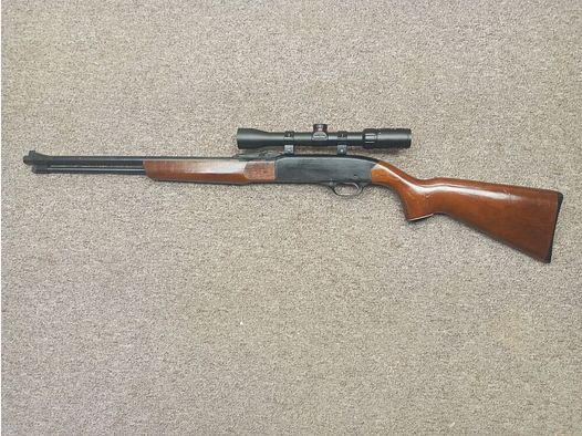 Winchester M 290