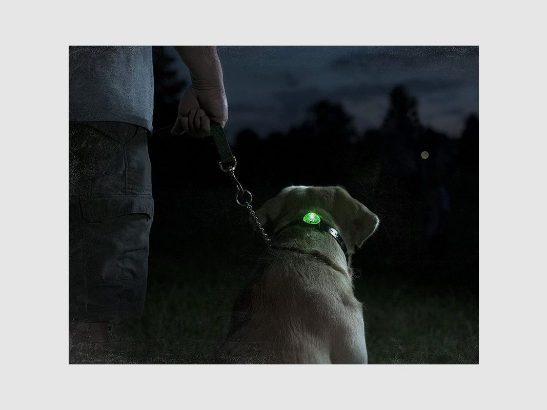 Gelbes Suchlicht Beacon, Bild 4 von 4