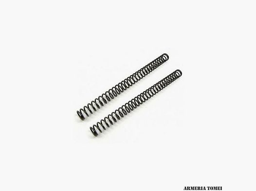 GHOST – MOLLA RECUPERO PROGRESSIVA SET 10 lb PER CZ 75/SP01/SHADOW 2/TANFOGLIO