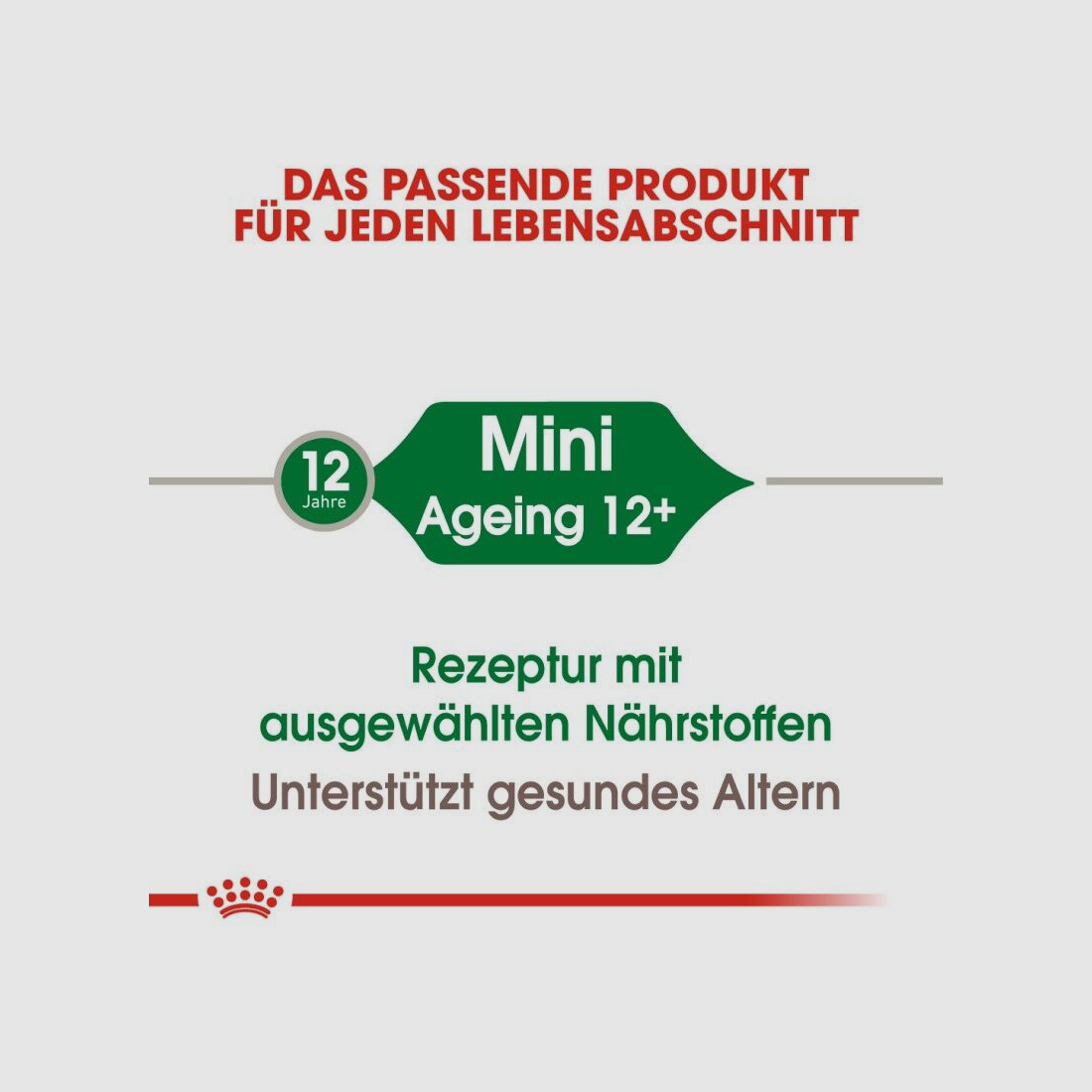 ROYAL CANIN Ältere Kleine Hunde Trockenfutter Mini Ageing 12+ 3,5 Kg