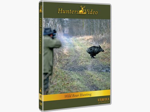 Schwarzwildjagd