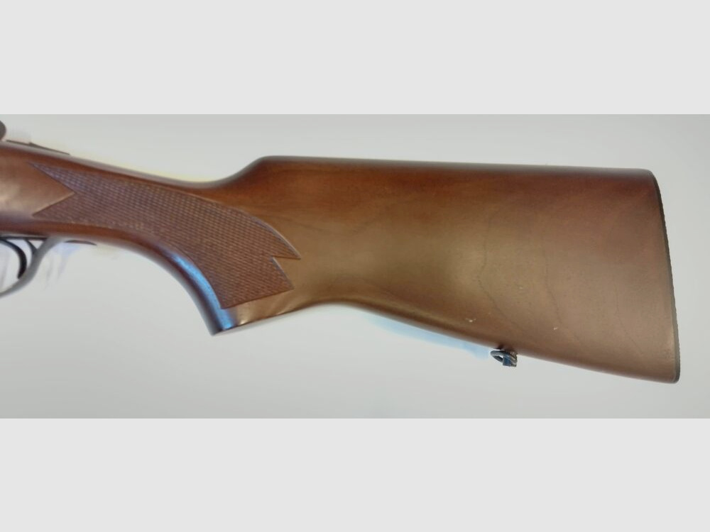 Foresta di Franconia