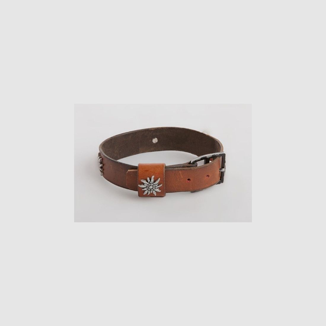 Hondhalsband, Originele Zwitserse Leger Ceinturon (gebruikt) met Edelweiss-beslag