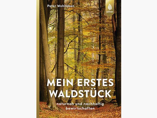 Mein erstes Waldstück