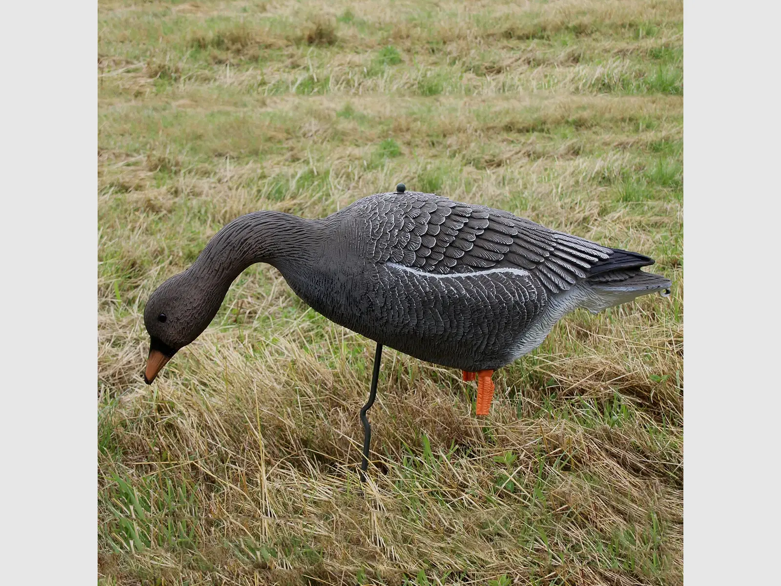 AKAH Decoy Seed Goose Life Size – with Ground Spike, image 2 of 2