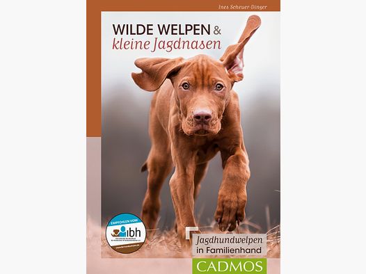 Wilde Puppies & Kleine Jachtneuzen