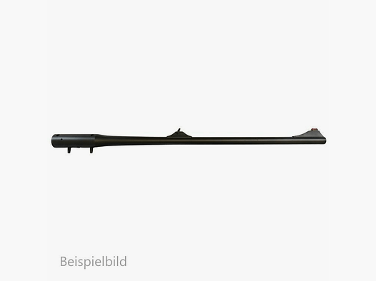 Blaser WL R8