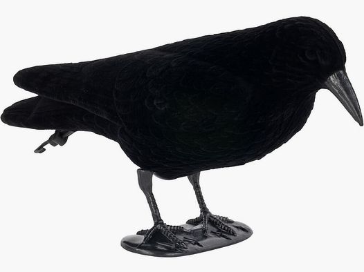 Krale Crow Decoy Flocked Standing