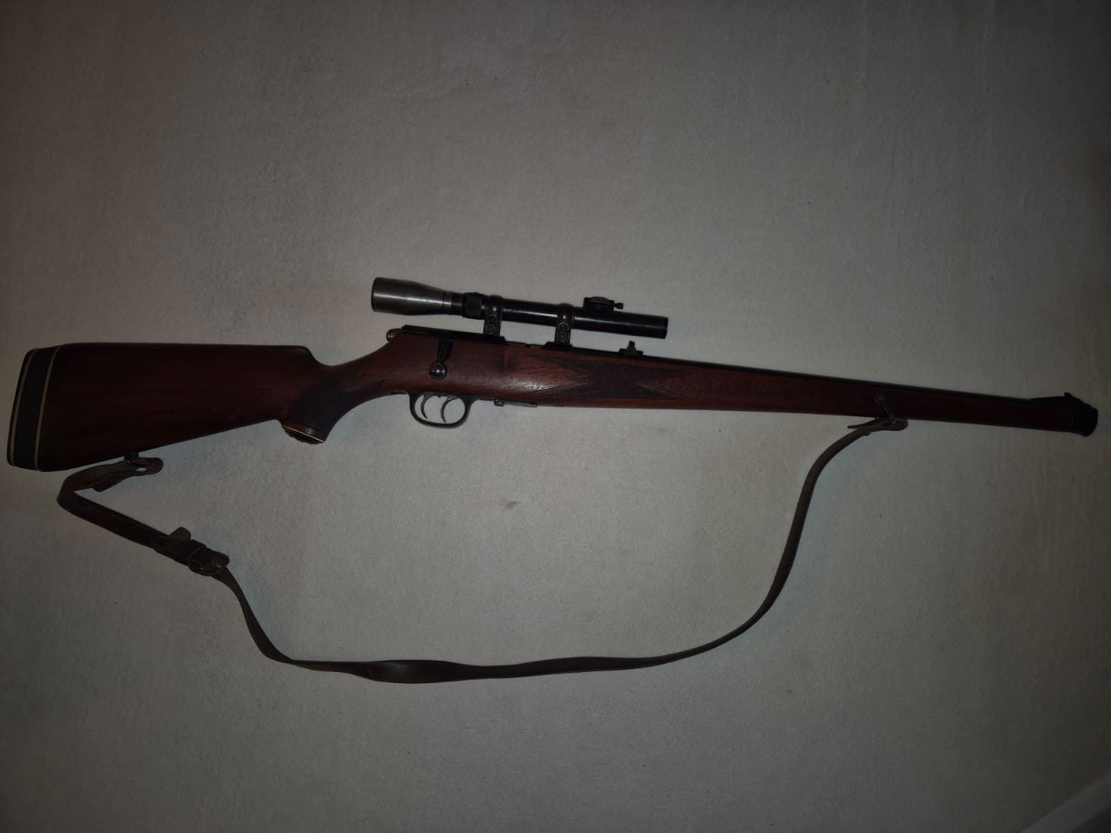 small caliber rifle