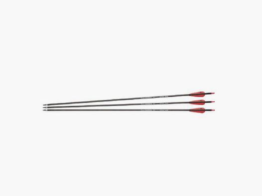 Carbon Pfeile 30" Spine 400