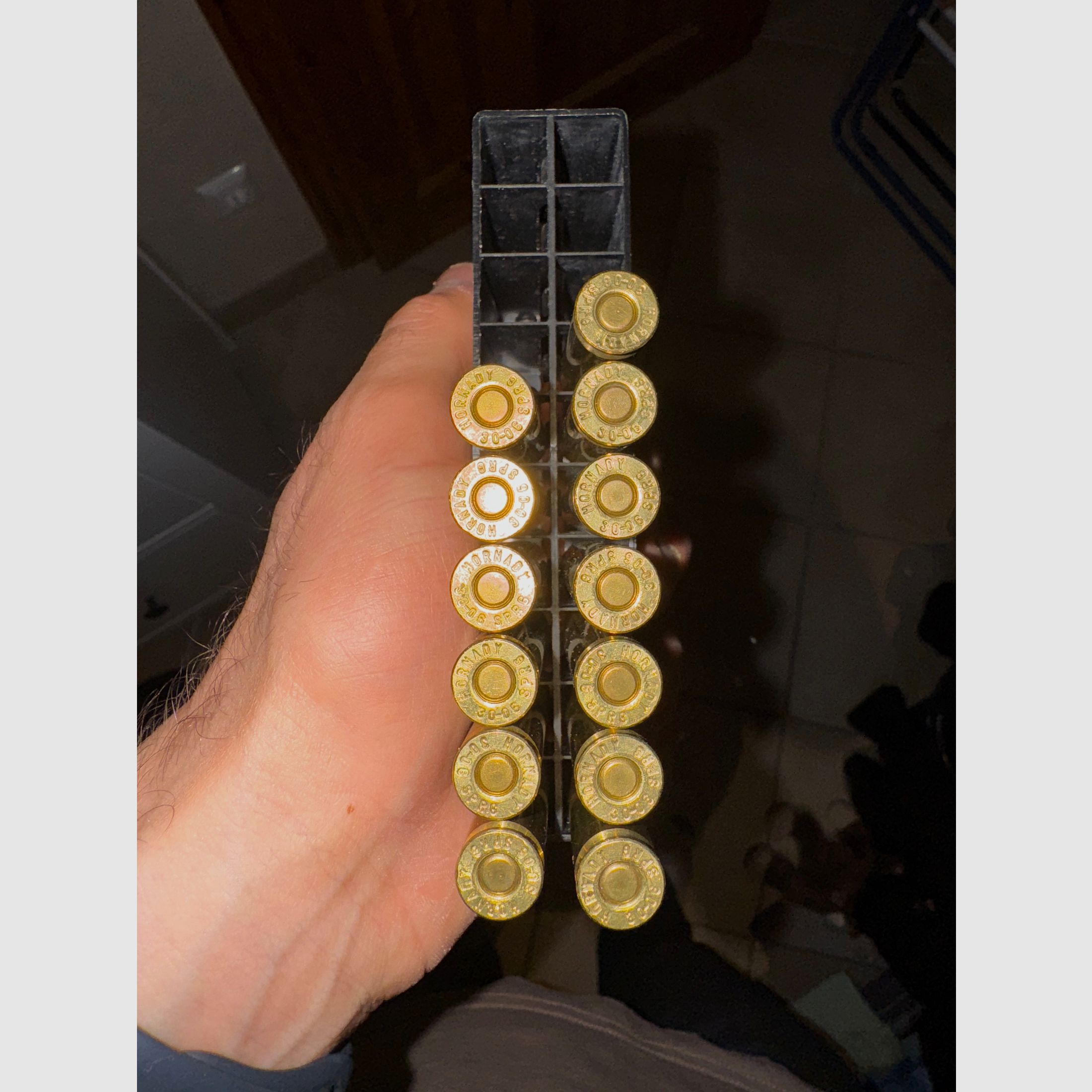 .30-06 SPRG Hornady SST 180gr. 53 piezas