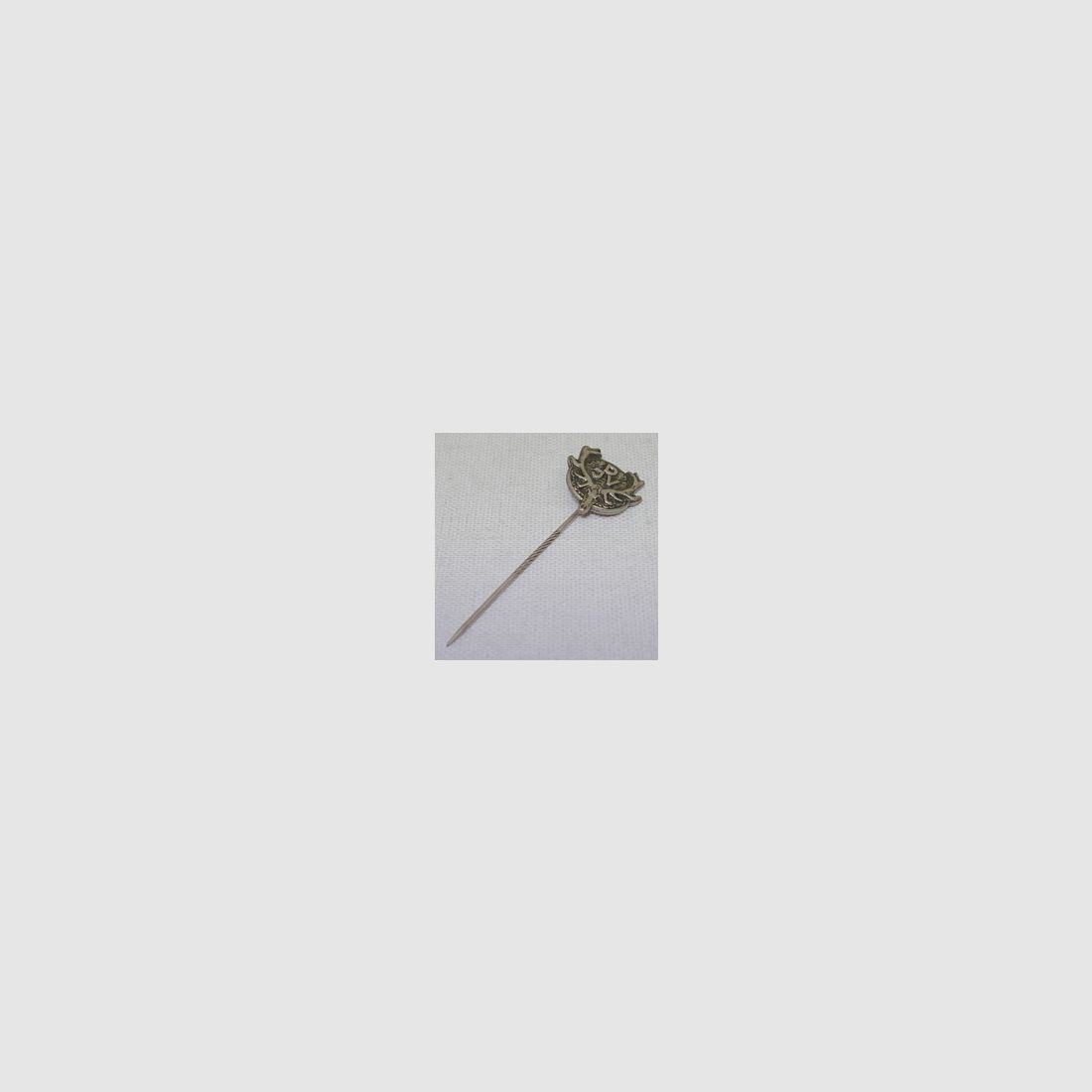 DJV-Anstecknadel groß -