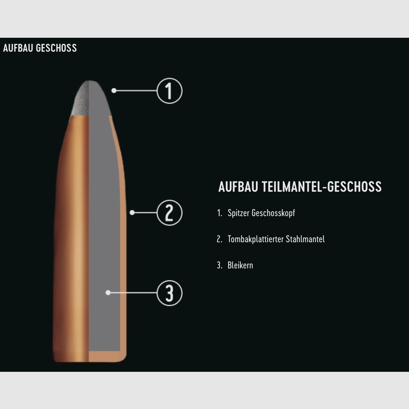 RWS 2116405 .222 Rem. Teilmantel Spitz 3,2g 50grs. Langwaffenmunition