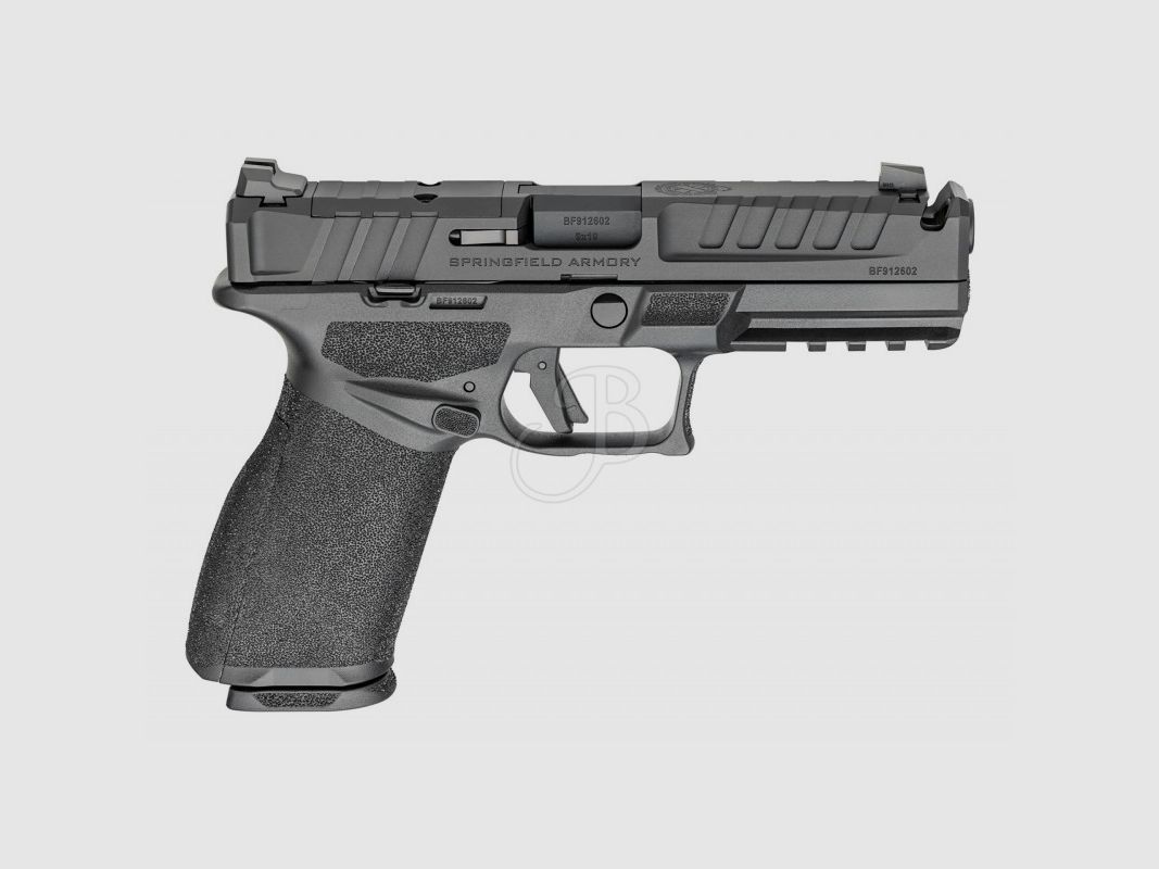 HS SPRINGFIELD ARMORY ECHELON 9X19, immagine 2 di 5