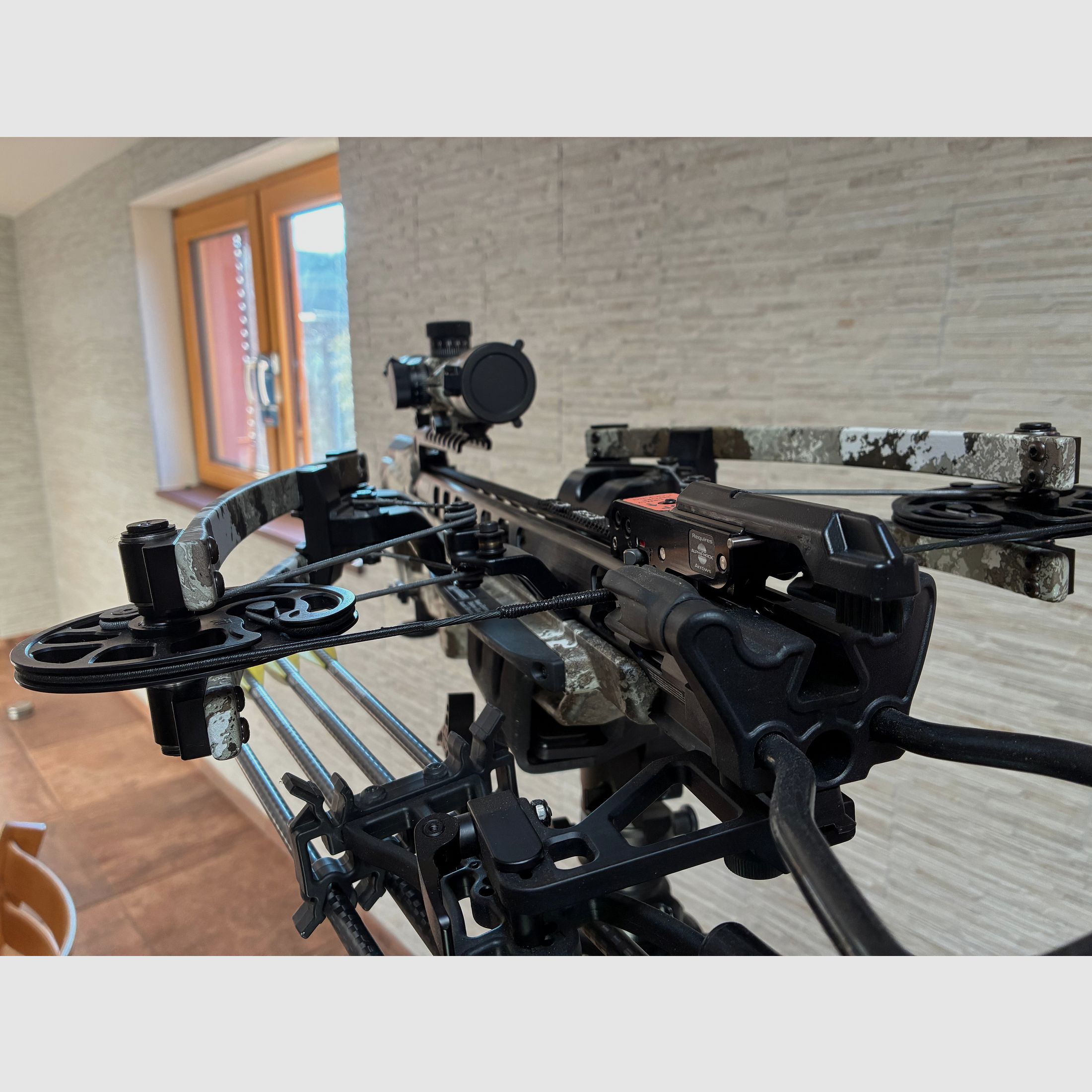 <TEN POINT Armbrust Vaper RS 470 EVO - X VCeil Alpine>