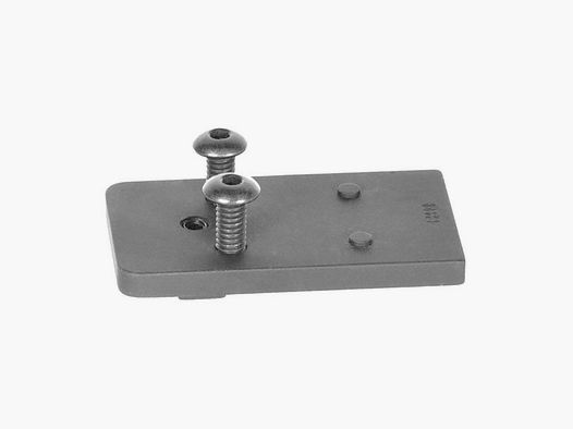 EGW XD, XDM EGW ZIELMONTAGE FÜR VORTEX RAZOR PASST FÜR SPRINGFIELD XD/XDM SCHWARZ