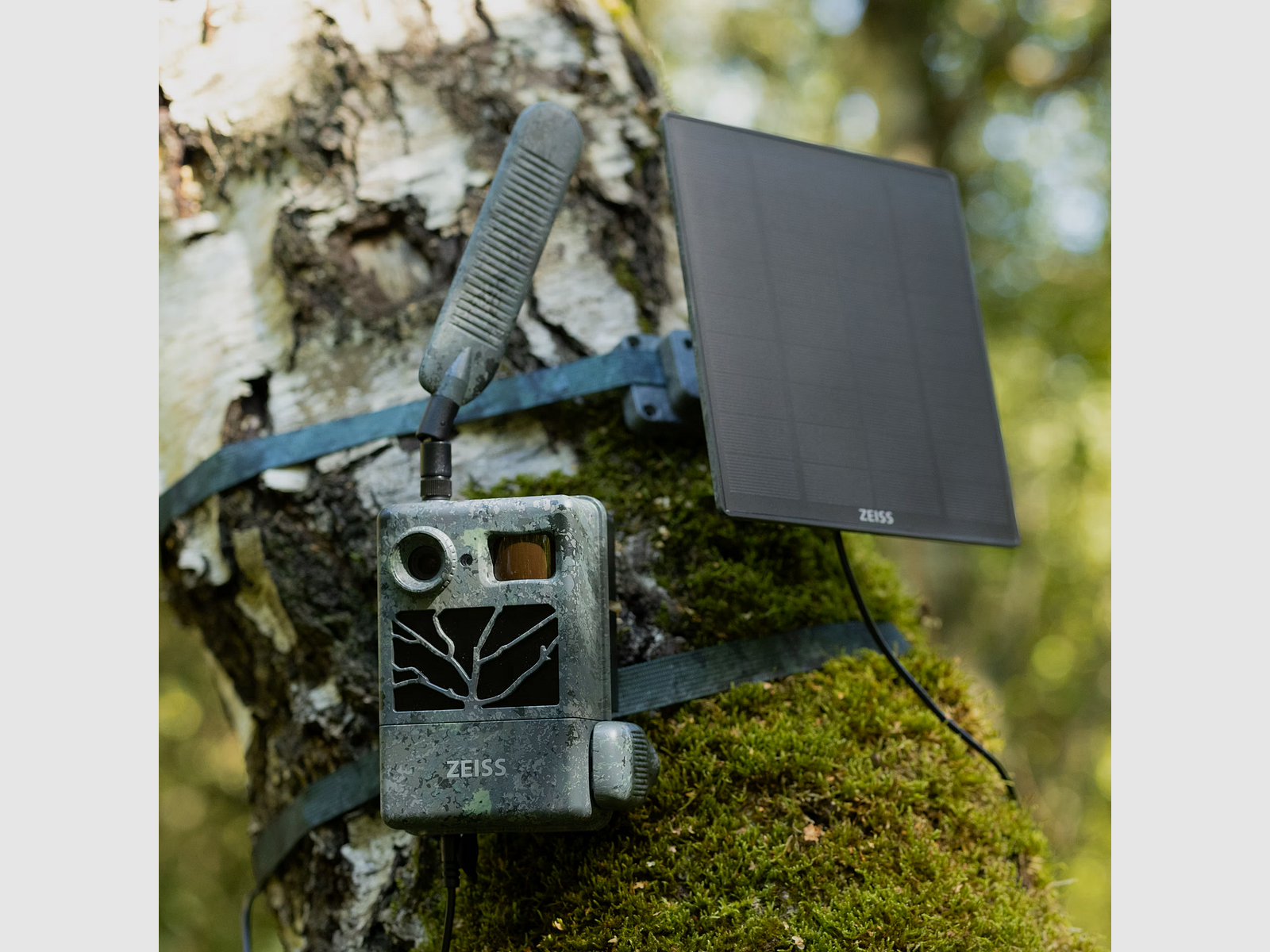 ZEISS Solar Panel Pro, Bild 2 von 2