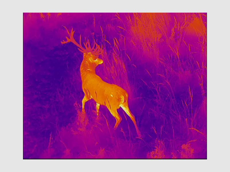 Lahoux Optics Spotter Pro V Wärmebildkamera