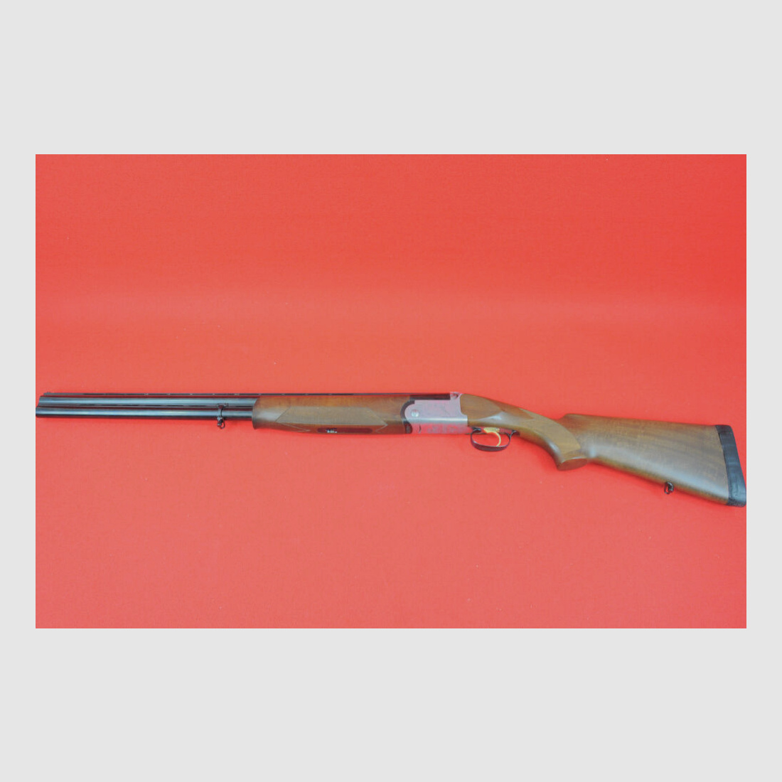 Rizzini Albion
