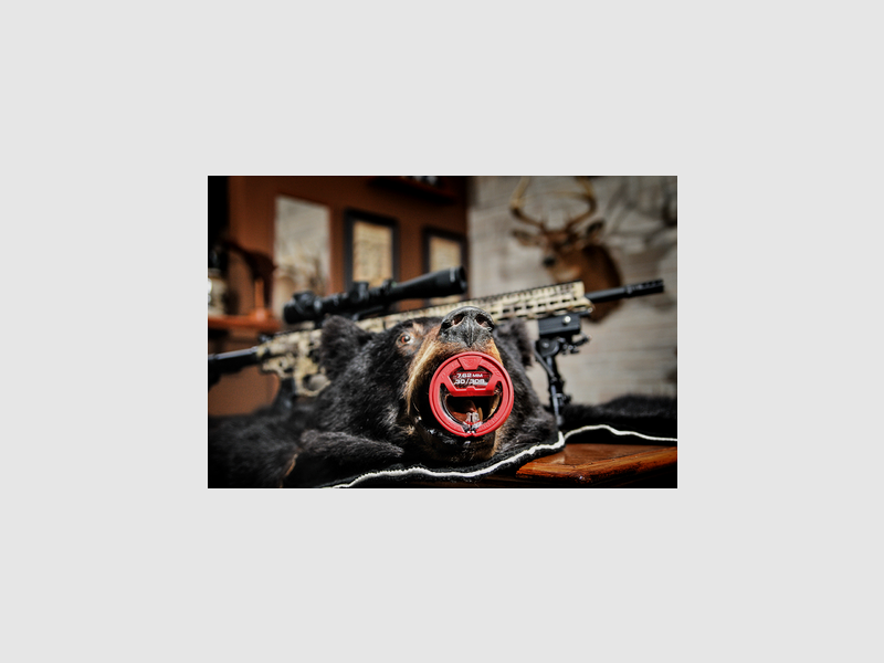 NETTOYAGE BORE BOSS – .30CAL.308CAL7.62MM – REAL AVID, image 5 sur 5