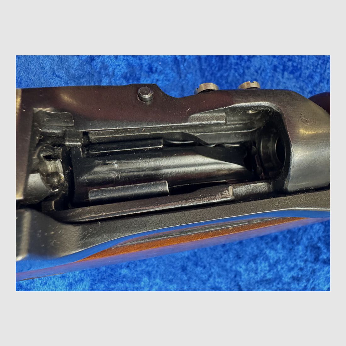 Ruger Mini-14