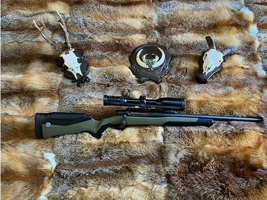 Steyr MS Wild