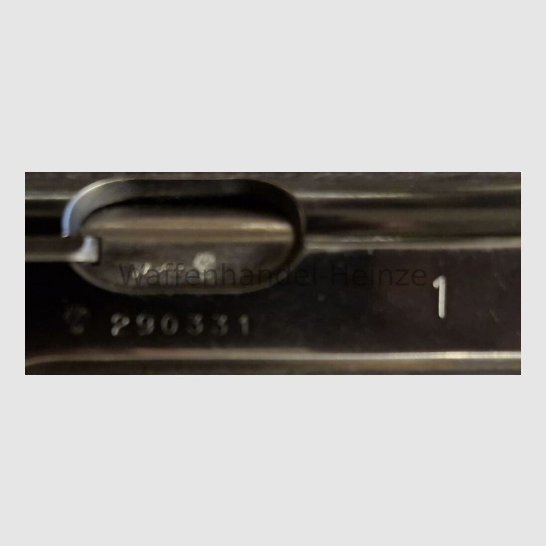 Walther PPK/S