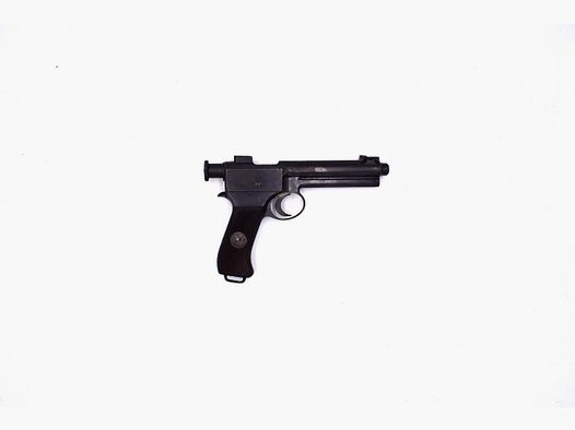 Roth Steyr 1907