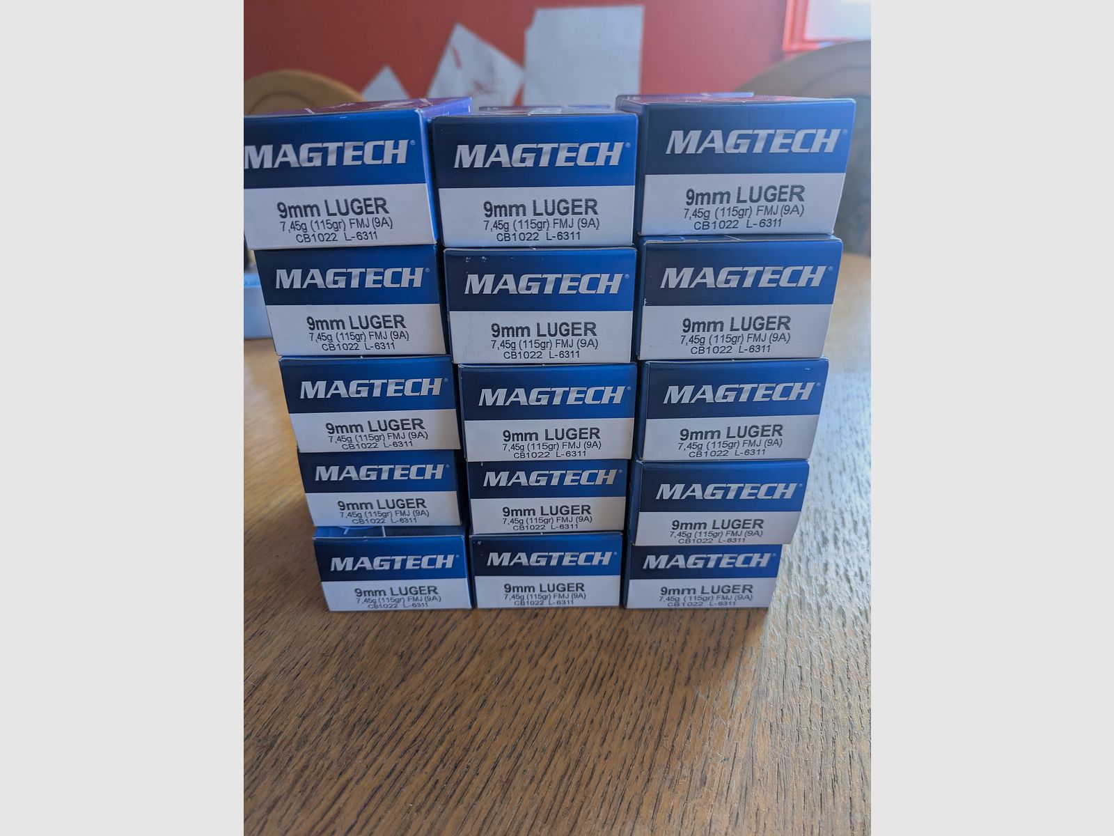 15x Magtech 9mm Luger 115grs FMJ (9A)