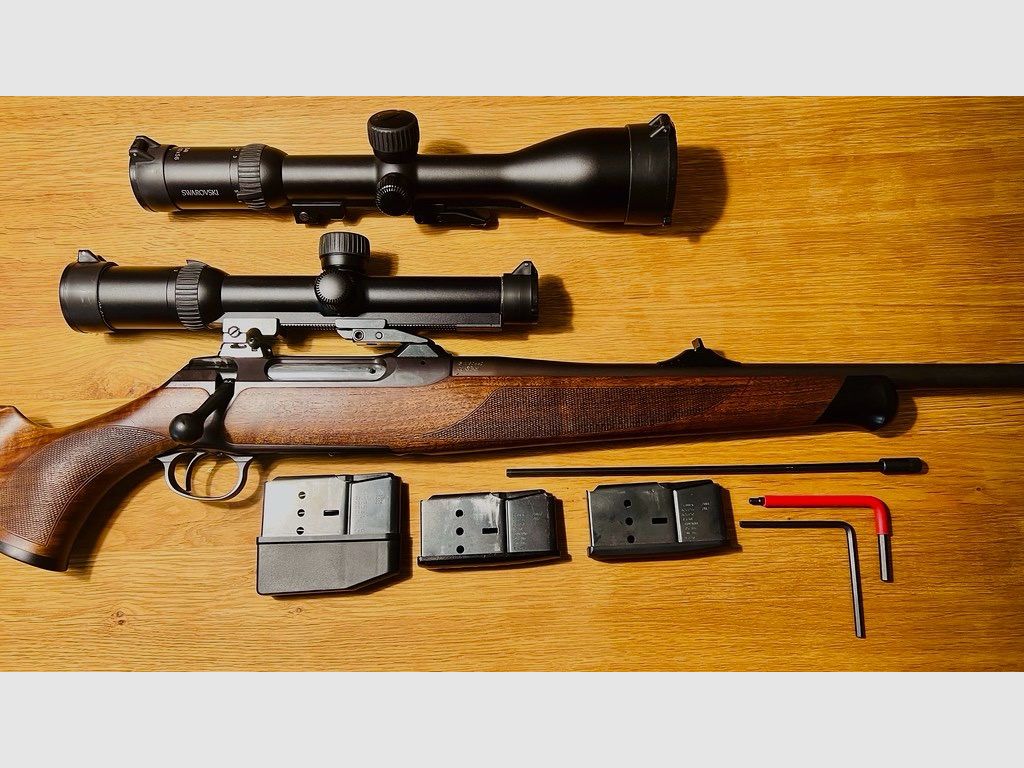 Sauer 202, système en acier, .30-06, avec paquet Swarovski ZF